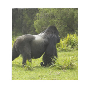 Bloco De Notas Ruanda, Parque Nacional dos Vulcões