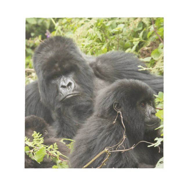 Bloco De Notas Ruanda, Parque Nacional dos Vulcões (Frente)