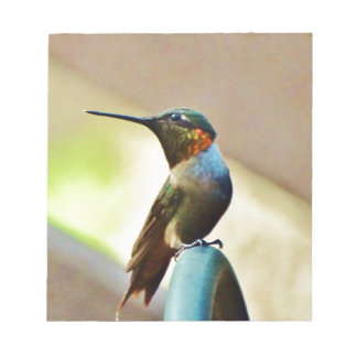 Bloco De Notas Ruby e pequeno beija-flor-verde