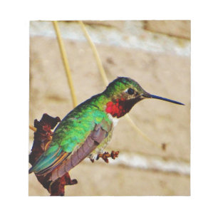 Bloco De Notas Ruby Green Hummingbird
