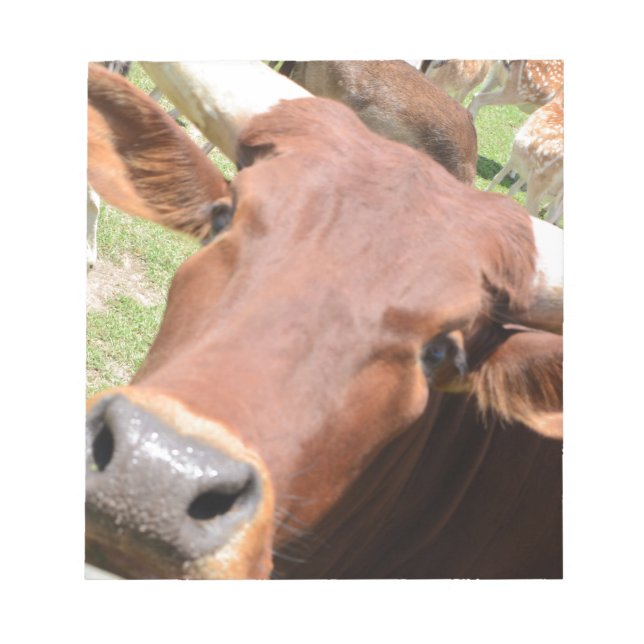 Bloco De Notas Safari Brown Cow (Frente)