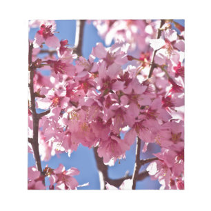 Bloco De Notas Sakura Cherry Blossoms Red Stars