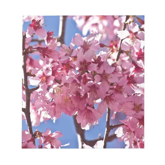 Bloco De Notas Sakura Flores de Cerejeira Estrelas Vermelhas (Frente)