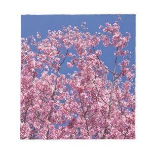 Bloco De Notas Sakura Flores de Cerejeira no Azul