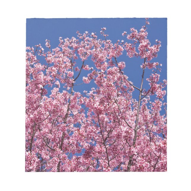 Bloco De Notas Sakura Flores de Cerejeira no Azul (Frente)