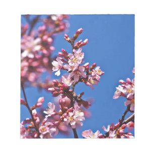 Bloco De Notas Sakura Flores de Cerejeira Tocando o Azul