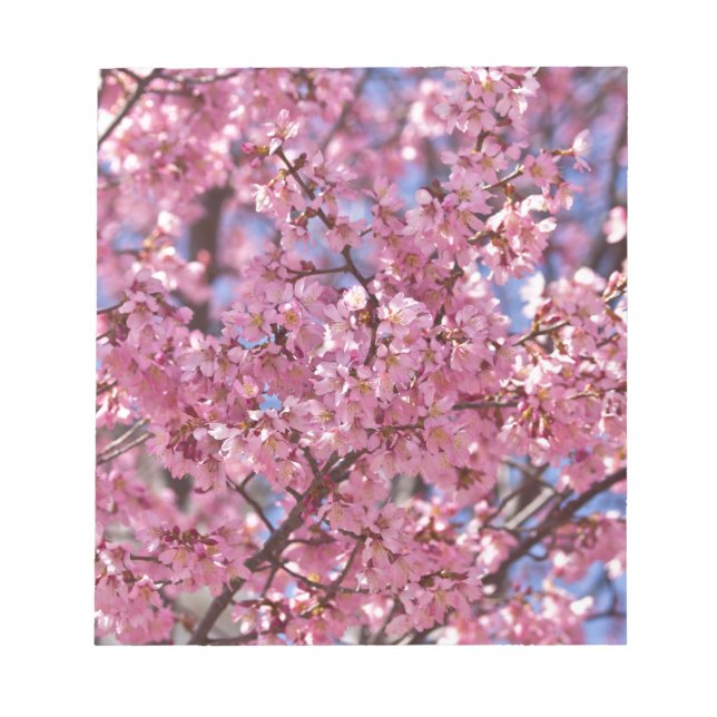Bloco De Notas Sakura Pink Chersom Sky (Frente)
