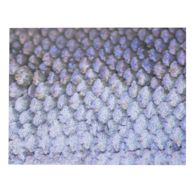 Bloco De Notas Salmão Shimmering (Frente)