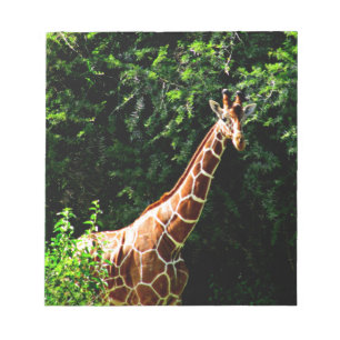 Bloco De Notas Samburu Giraffe