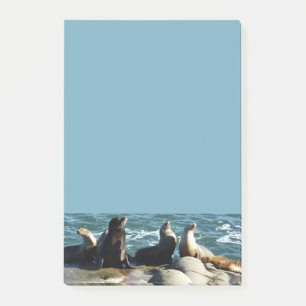 Bloco De Notas San Diego Sea Lions