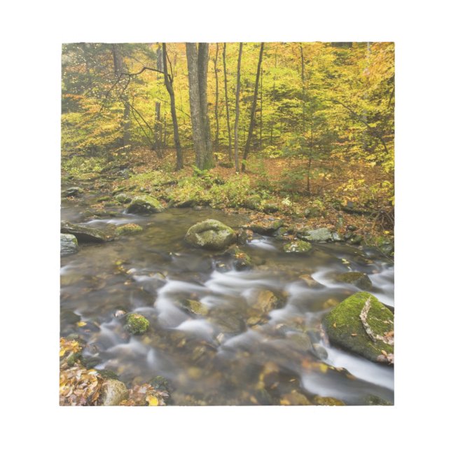 Bloco De Notas Sanderson Brook.  Floresta Estadual Chester-Blanfo (Frente)