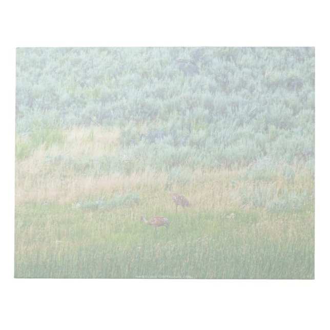 Bloco De Notas Sandhill Cranes (Frente)
