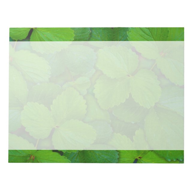 Bloco De Notas Santo Basil Tulsi Green Mint Folhas (Frente)