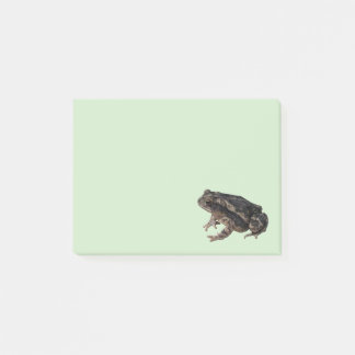 Bloco De Notas Sapo