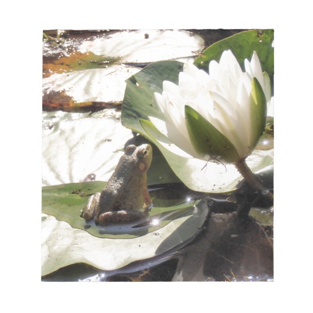 Bloco De Notas Sapo entonado (Frente)