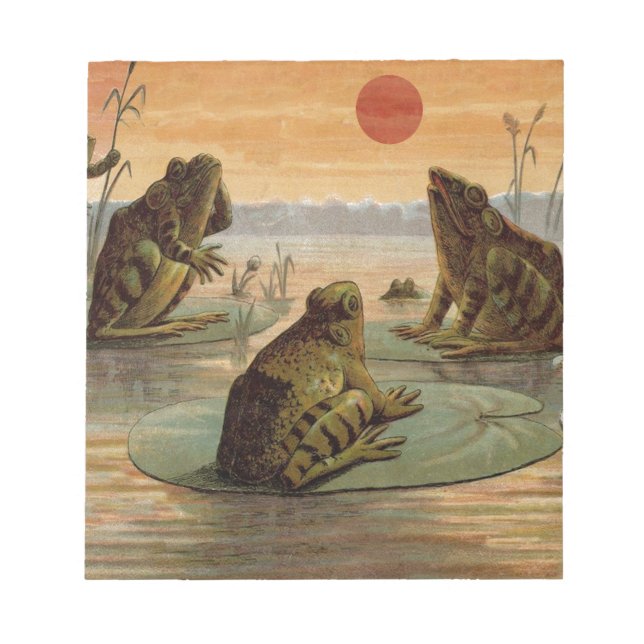 Bloco De Notas Sapos Lily Pads Ilustração da Lua (Frente)
