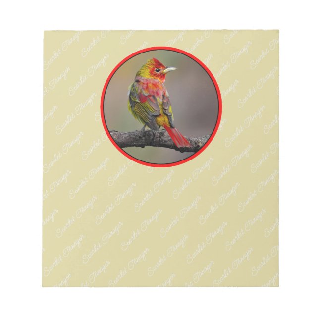 Bloco De Notas Scarlet Tanager Molting - Fotografia original (Frente)
