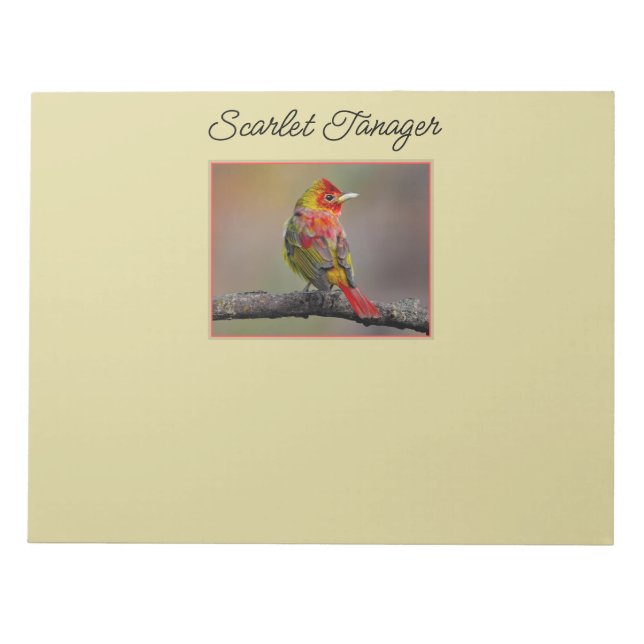 Bloco De Notas Scarlet Tanager Molting - Fotografia original (Frente)