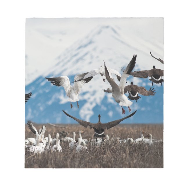 Bloco De Notas Scattering Geese (Frente)