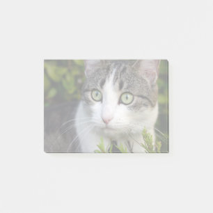 Bloco De Notas Seu Posto Personalizado de Presente de Foto Pet Qu