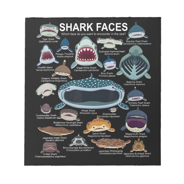 Bloco De Notas Shark Faces Which Face Do You Want To Encounter (Frente)