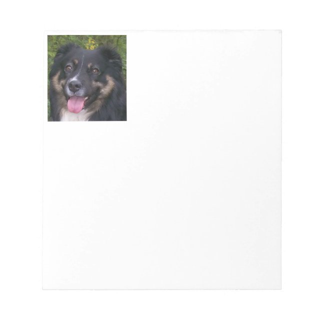 Bloco De Notas Shepherd Black Tri Americano Miniatura (Frente)