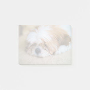 Bloco De Notas Shih Tzu