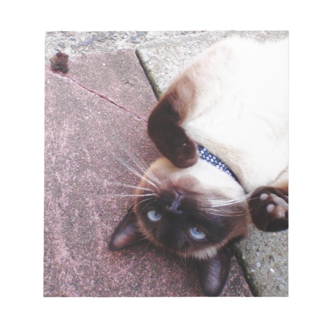 Bloco De Notas Siamês Repleto (Frente)