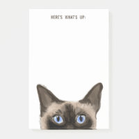 Siamese Cat | Texto editável | Aqui está o que est