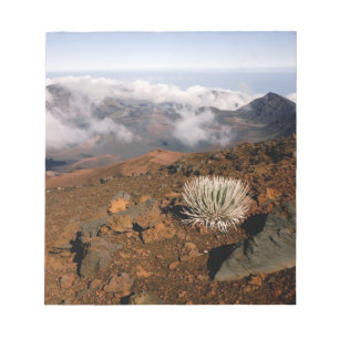 Bloco De Notas Silversword no cume da cratera Haleakala a partir