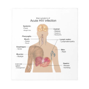 Bloco De Notas Sintomas principais da infecção por o HIV aguda