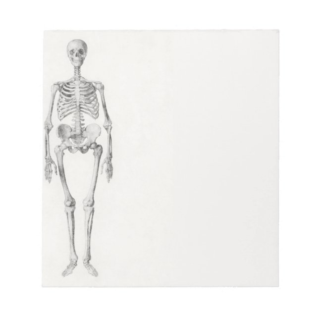 Bloco De Notas Skeleton Skull (Frente)