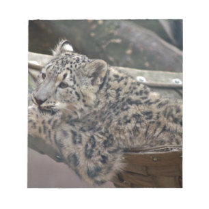 Bloco De Notas Snow Lepard