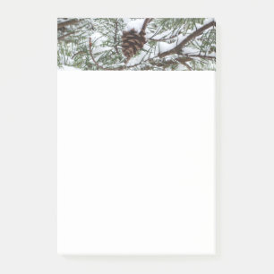 Bloco De Notas Snowy Pine Cone II Fotografia de inverno