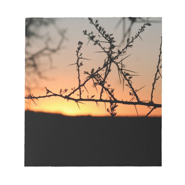 Bloco De Notas Sol africano com silhueta espinhal de acácia (Frente)
