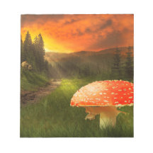 Sol de Outono Poente.