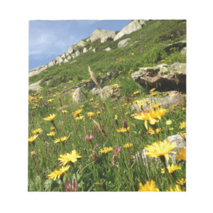 Bloco De Notas Solte a sua imaginação! Flores alpinas