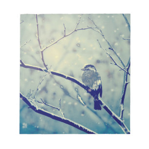 Bloco De Notas Sparrow no galho nevado