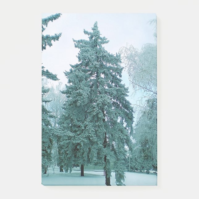 Bloco De Notas Spruce tree com gelo (Frente)