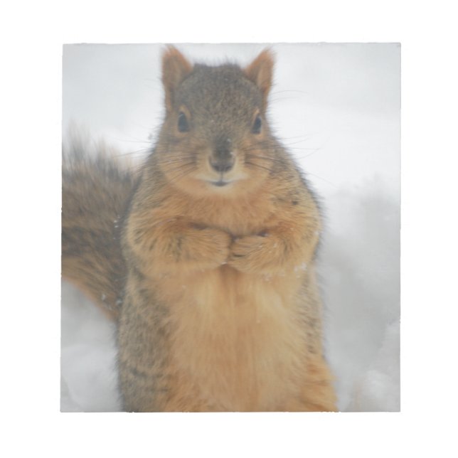 Bloco De Notas Squirrel Love (Frente)