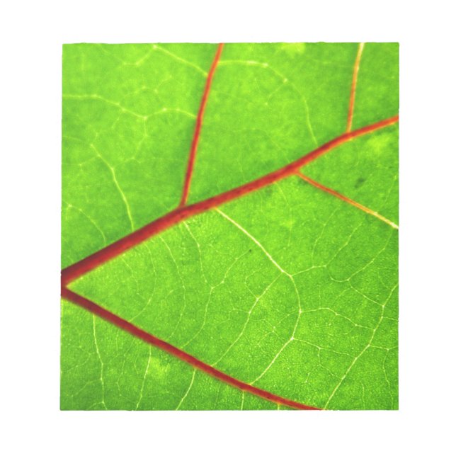 Bloco De Notas St Thomas 1 (Frente)