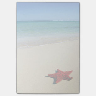 Bloco De Notas Starfish Vermelho Na Praia Branca De Areia