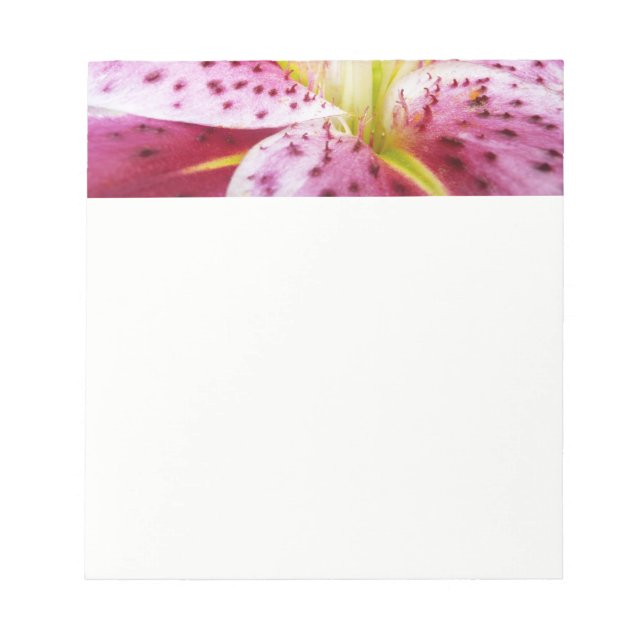 Bloco De Notas Stargazer Lily Bright Magenta Floral (Frente)