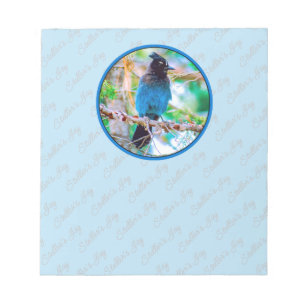 Bloco De Notas Steller's Jay - Fotografia original