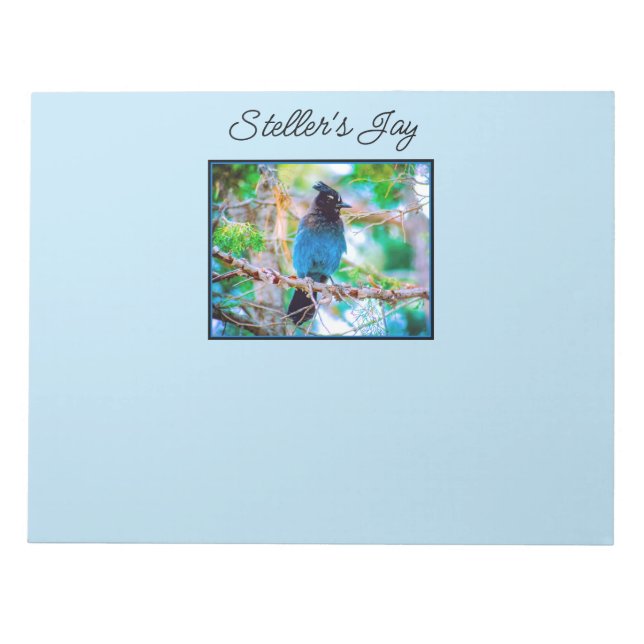 Bloco De Notas Steller's Jay - Fotografia original (Frente)