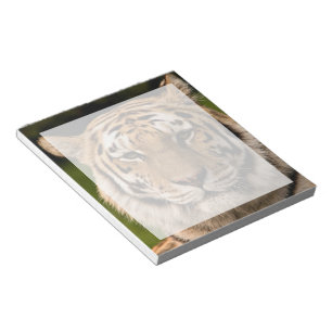 Bloco De Notas Sumatran Tiger