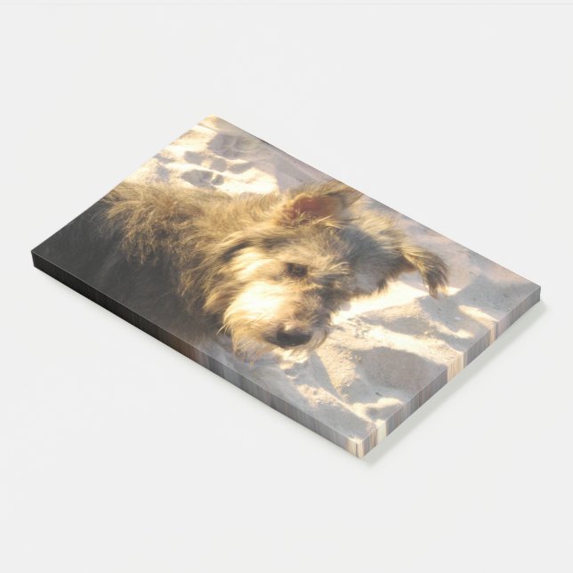 Bloco De Notas Tailandês Beach Dog (Inclinado)