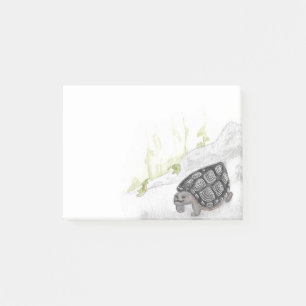 Bloco De Notas Tartaruga Florestal