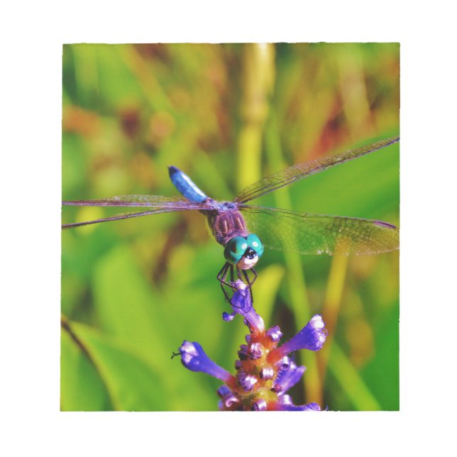 Bloco De Notas Teal Rainbow Dragonfly (Frente)