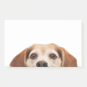 Bloco De Notas Tendência Moderna do Cão Engraçado Bonito